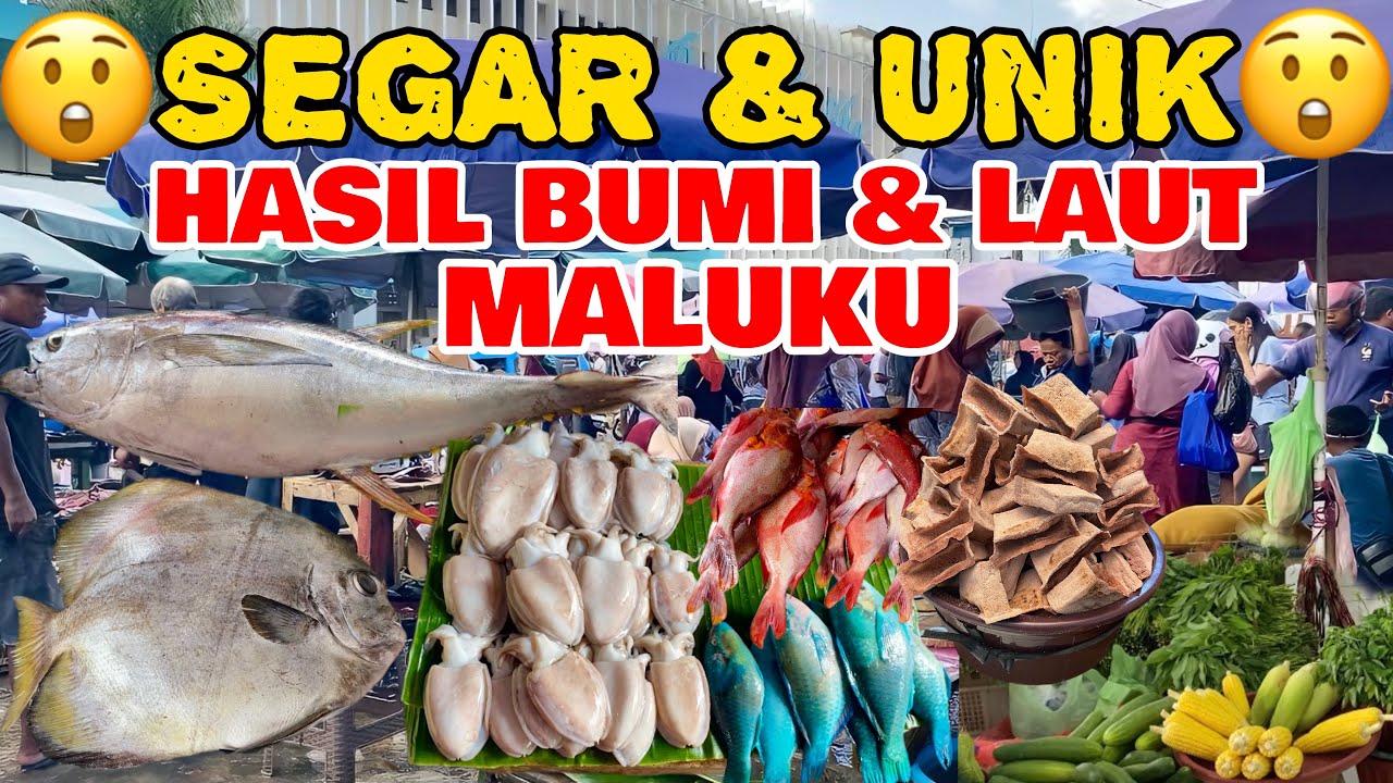 Menjelajahi Dua Pasar tradisional Legendaris Ambon! Pasar Mardika & Arumbai Penuh Ikan Unik!