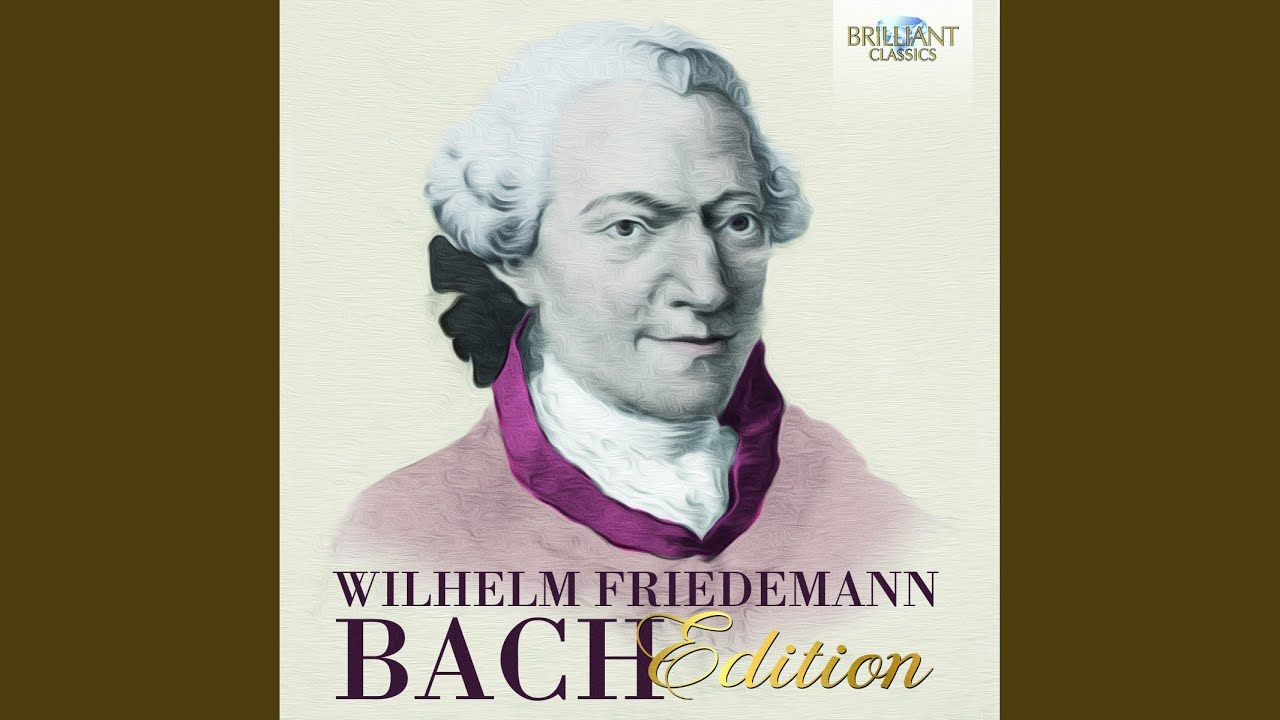 Harpsichord Concerto in D Major, F. 41: I. Allegro