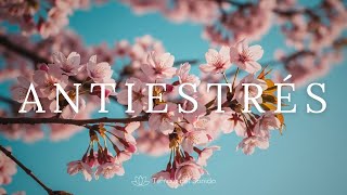 Calma Interior 🌸 Música Relajante para Soltar el Miedo y la Ansiedad 💜 Solo Respira