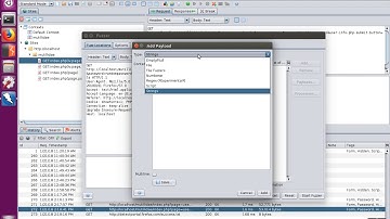 How to Fuzz Web Applications with OWASP ZAP (Part 1)