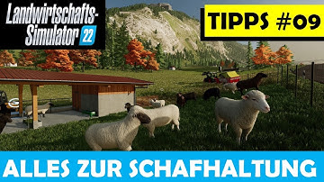 LS22 🚜 EINSTEIGER TIPPS #09 🍂 ALLES ZUR SCHAFHALTUNG 🍂 Stallbau, Tiere, Futter, Wolle !