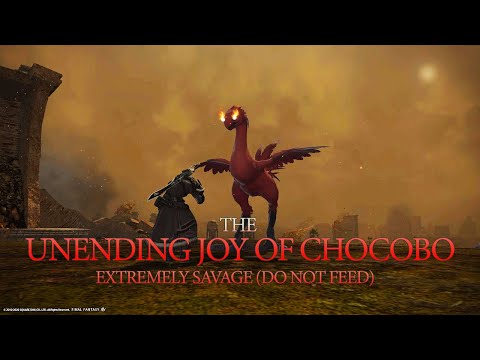 FINAL FANTASY XIV : 5.35 The Unending Joy of Chocobo (Meme clear)