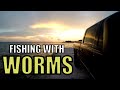 Bank Fishing Catfish With Nightcrawler Worms