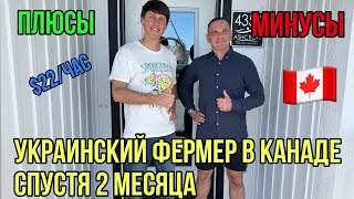 #236. Украинский фермер спустя 2 месяца работы на канадской ферме.