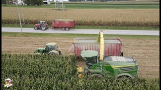 Chopping Corn Silage on a Dairy Farm near Polk Ohio