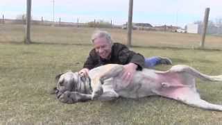 Weatherman Mike Sobel & Ripple meet again!