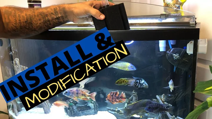 Sponge Filter Setup - Install and Modify (Step by ...