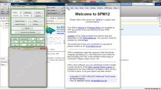1 fMRI SPM DICOM IMPORT 4