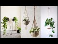 DECORACIÓN DE INTERIORES : MIS 5 PLANTAS FAVORITAS PARA LA DECORACIÓN DE INTERIORES.