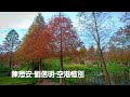 陳思安 劉信明 空港惜別 陳思安 劉信明 空港惜別