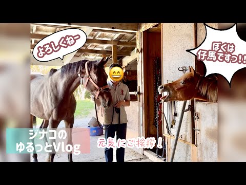 うっちーちゃんねる - YouTube