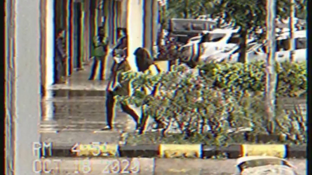 Vlog 3 || a day with kamomil