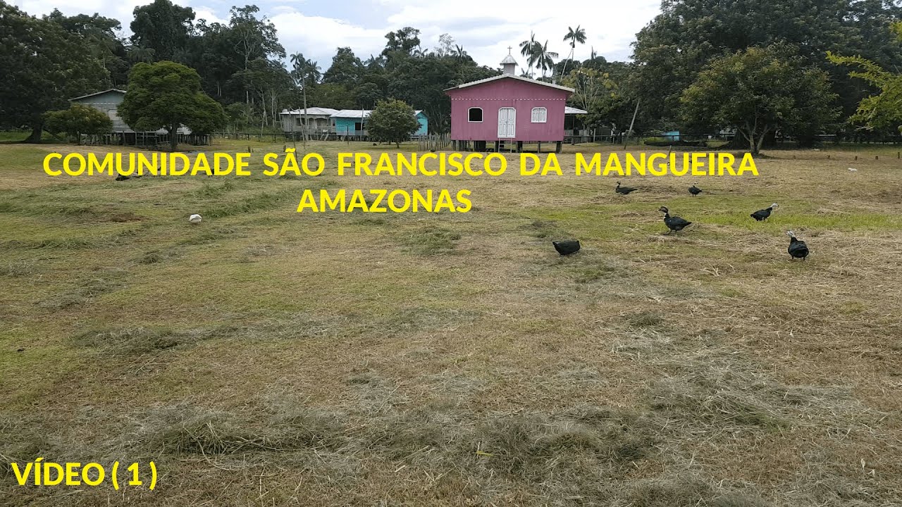 COMUNIDADE SÃO FRANCISCO DA MANGUEIRA - AMAZONAS -  VÍDEO ( 1 )