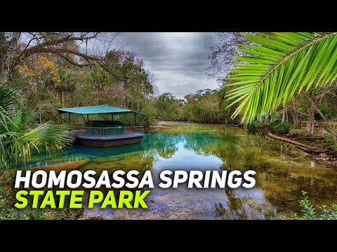 FLORIDA NATURE. Homosassa Springs Wildlife State Park. Virtual Tour. Travel Video 4K