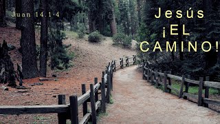 Jesus, el camino (Juan 14:1-14)