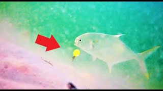 Are SURF FISHING RIGS with BEADS NECESSARY? Underwater Video!