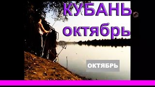 Рыбалка. река Кубань. Октябрь. Ловля на донку подлещика, густеры, чехони, рыбца, карася. fishing(река Кубань. Октябрь .….((Мой канал- это (в основном) канал ЛЮБИТЕЛЯ-рыболова или рыбалка- как вижу ее я ! ..., 2015-11-16T16:23:07.000Z)