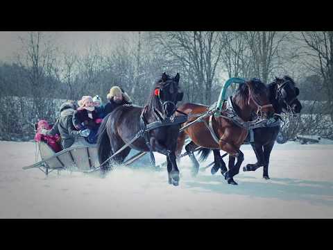 Strazdanėlių linksmybės: Pasivažinėjimas arklių kinkiniu!