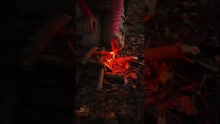 Wild Life Camping Hack!