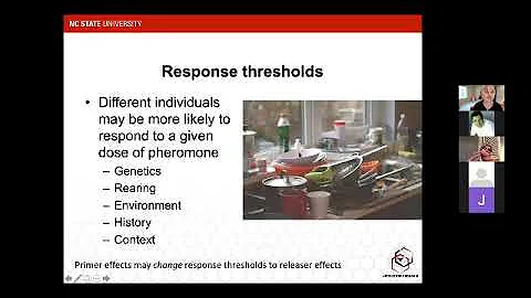 A primer on honey bee pheromones