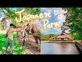 FEEDING JAPANESE HORSES IN MISAWA, JAPAN!