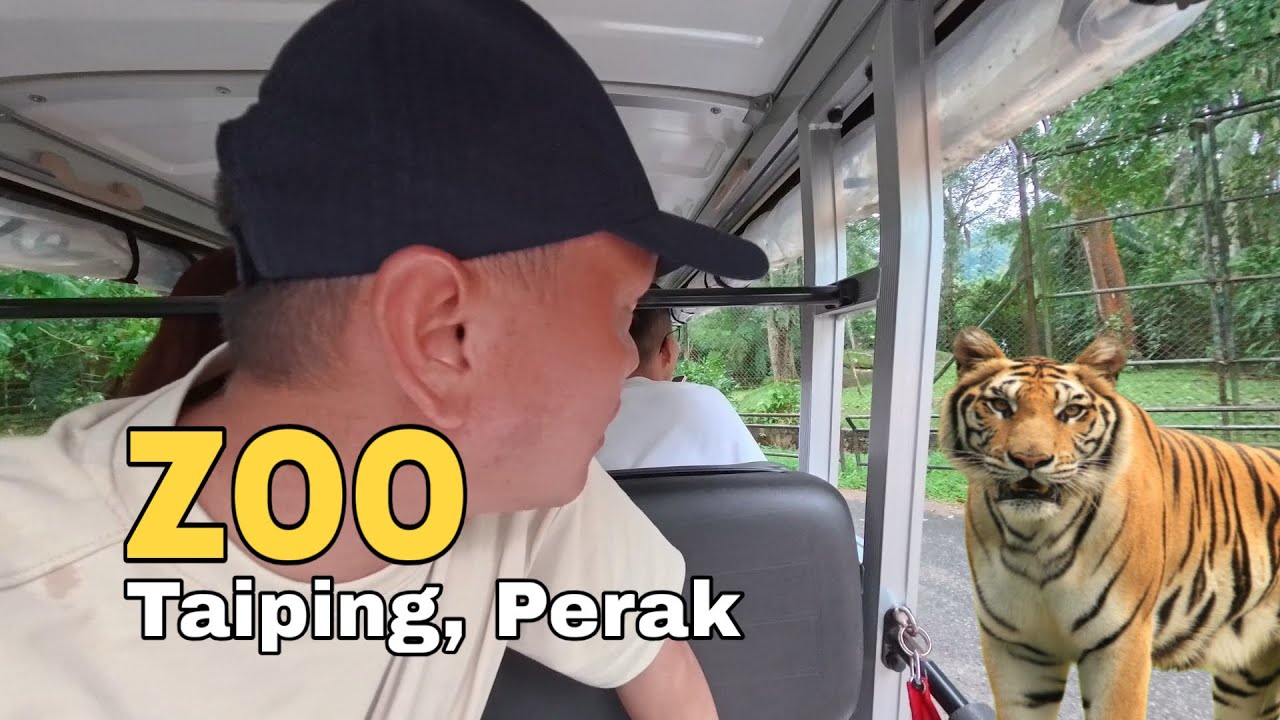 Kembara ke Zoo Taiping