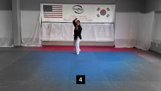 Hapkido 1st Degree Black Belt Form - LeeHan Martial Arts
