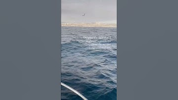 Einstein made a Mistake..😳