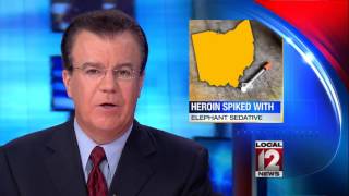 Suspect arrested in fatal batch of heroin overdoses