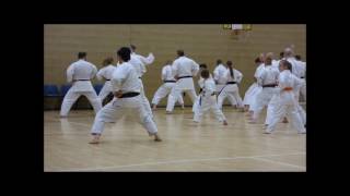 Heian Sandan Kata & Geri Waza Uk Seminar By Skif Sensei Katsu Tj-Shuhari Shotokan Karate Ociation