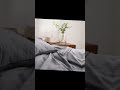Luxury Dark Grey Bedding Set | Soft, Elegant & Perfect for Deep Sleep #luxurybedsheets #hotelstyle