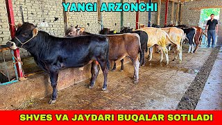 SHVES VA JAYDARI BUQALAR 91-683-16-19 YANGI ARZONCHI