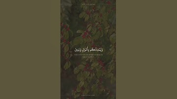 تلاوة خاشعة /القارئ الشيخ عبدالله الموسى 💚💚