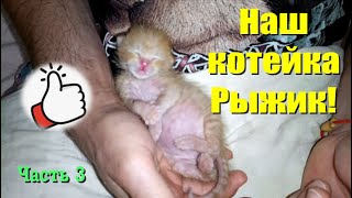 Наш котейка Рыжик! Часть 3 #Shorts