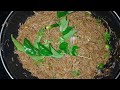 Ragi Puttu Without Puttu Maker Recipe  Ragi Puttu in Idli Cooker Video #piyaskitchen