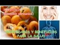 NISPERO : PROPIEDADES Y BENEFICIOS PARA LA SALUD