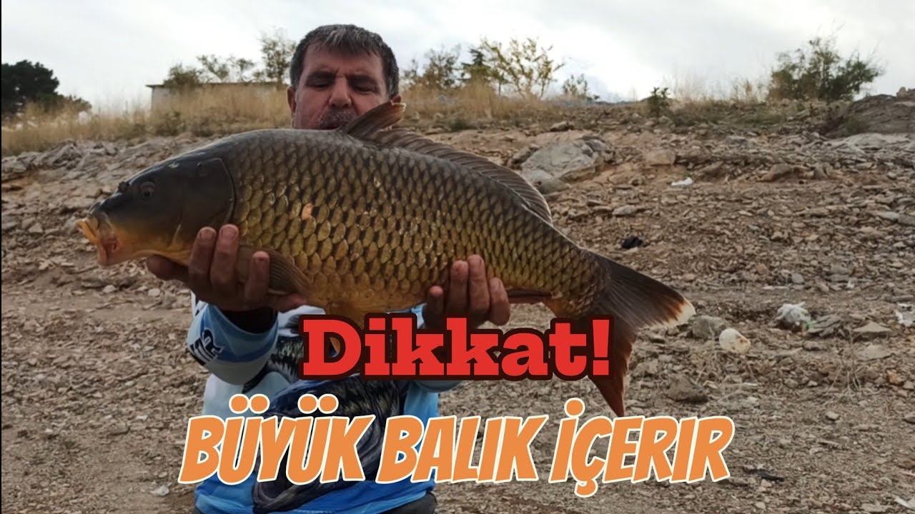 8,200...7,600.  6,,300.. 4,500.. Hep büyük balık geldi.Bol aksiyon,bol trofe sazanlar aldık.