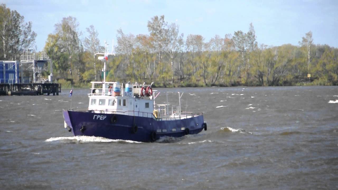 Задок японка в воде