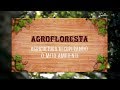 Agrofloresta - Agricultura recuperando o meio ambiente [2019]