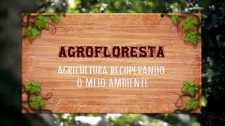 Agrofloresta - agricultura recuperando o meio ambiente [2019]