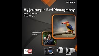 My Experience into bird photography with SONY Alpha