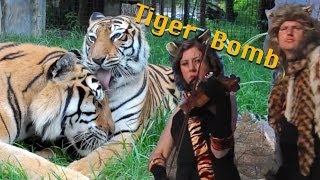 Video thumbnail of "Tiger Bomb"