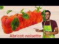 recette ENTREMET ABRICOT NOISETTE / Apricot hazelnut entremet (EN subs)
