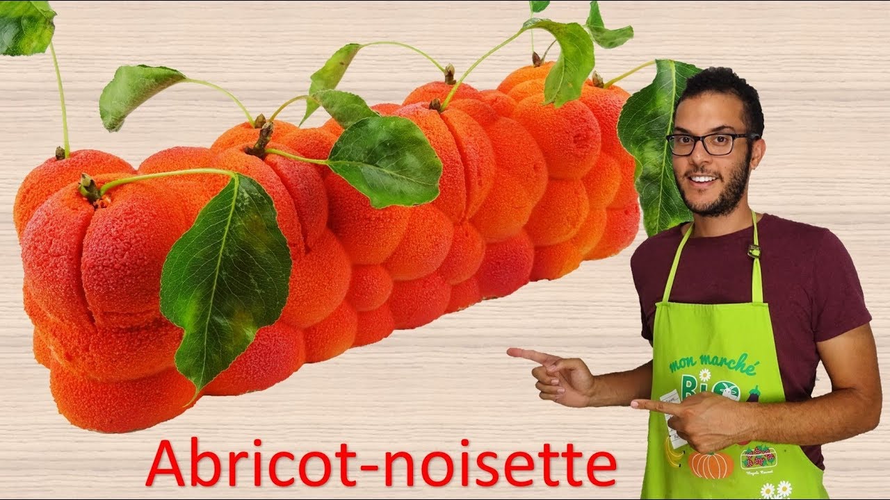 recette ENTREMET ABRICOT NOISETTE / Apricot hazelnut entremet (EN subs)