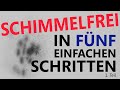 Schimmelfrei in fünf einfachen Schritten