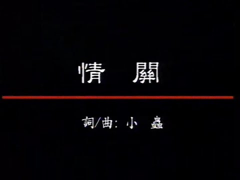 音樂磁場-情關【原聲伴唱】『我本有心 我本有情奈何沒有了天 愛恨在淚中間聚散轉眼成煙 』#音樂磁場 #情關 #翻唱【動態歌詞/Lyrics Video】