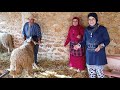 نطحها الحولي😥 طريقة اختيار خروف عيد الأضحى مع با قدور و لالة حادة