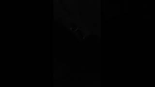 20180913_094904.mp4