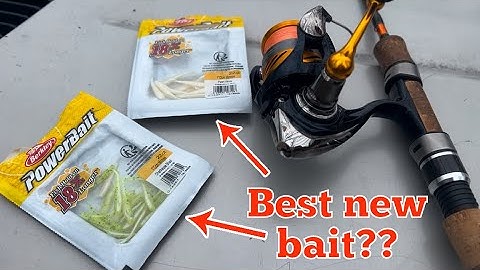Is the Berkley Powerbait Minnow BETTER than BERKLEY GULP??