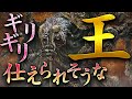【ネタ企画】狭間の地でギリ仕えられそうな王【エルデンリング】